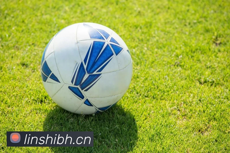 hth网页版登录入口服务体系